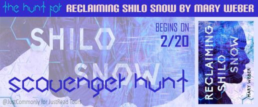 20 Feb Shilo Snow Banner 150_preview