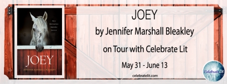 31 May Joey