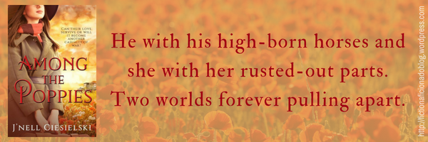 Among the Poppies Review Banner